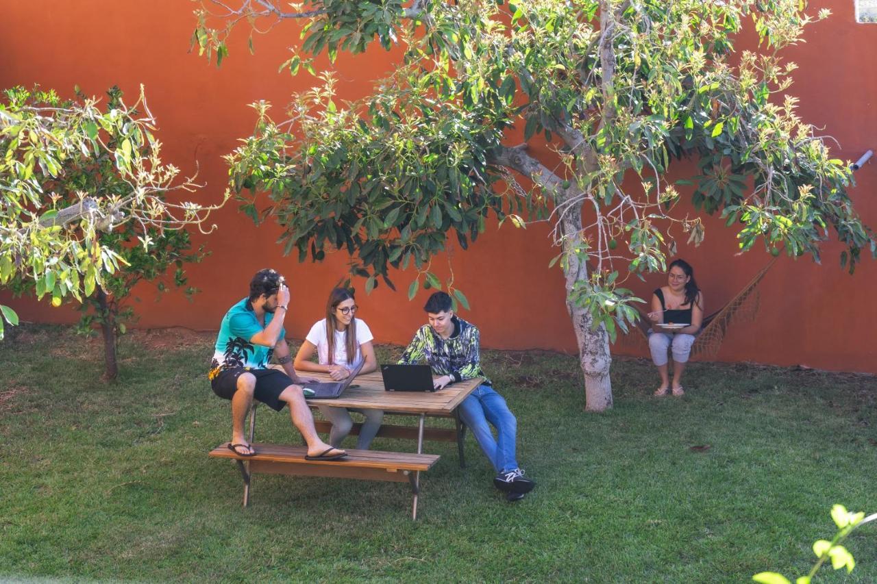 Cactus Coliving & Coworking Bed and Breakfast Arona  Exteriör bild
